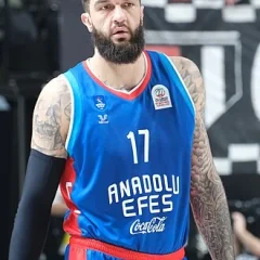 Vincent Poirier height profile photo