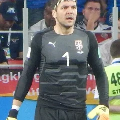 Vladimir Stojković height profile photo