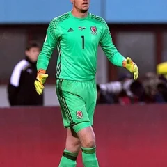 Wayne Hennessey height profile photo