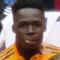 Wilfried Gnonto height profile photo