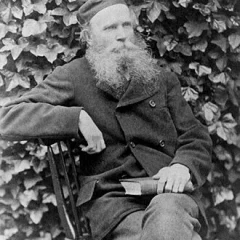 William Chester Minor height profile photo