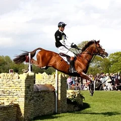 William Fox-Pitt height profile photo