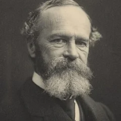 William James height profile photo