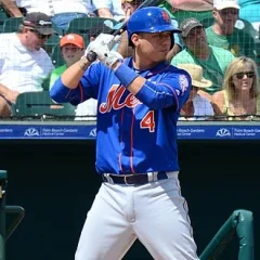 Wilmer Flores height profile photo