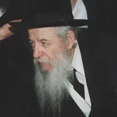 Yaakov Perlow height profile photo