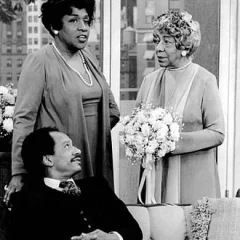 Zara Cully height profile photo