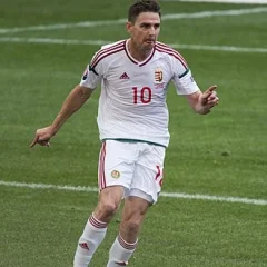 Zoltán Gera height profile photo