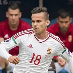 Zoltán Stieber height profile photo