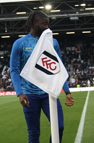 Tolu Arokodare height profile photo