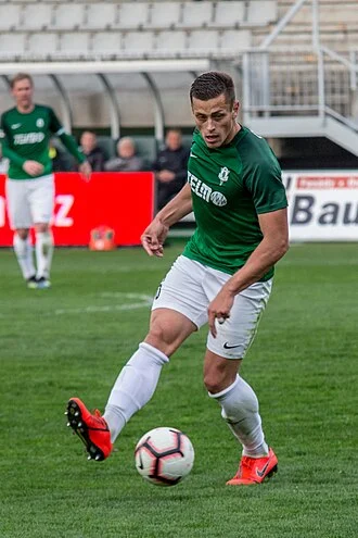 Tomáš Holeš height profile photo