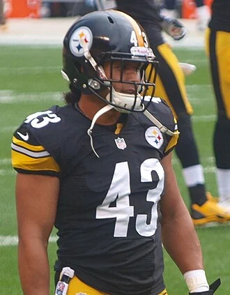Troy Polamalu height profile photo