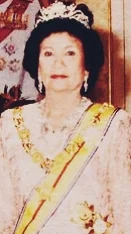 Tunku Ampuan Najihah height profile photo