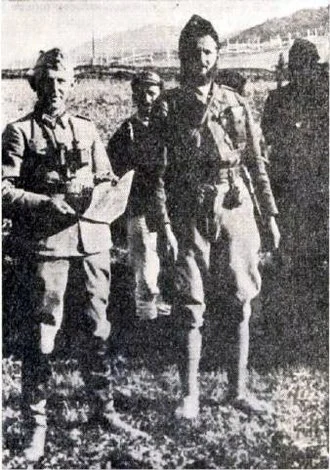 Uroš Drenović height profile photo