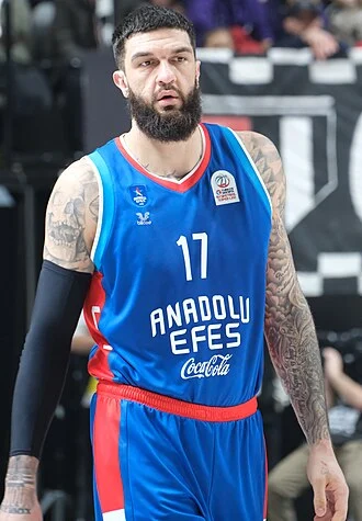 Vincent Poirier height profile photo