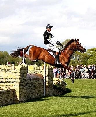 William Fox-Pitt height profile photo