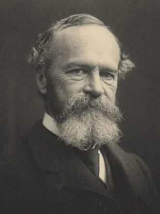 William James height profile photo