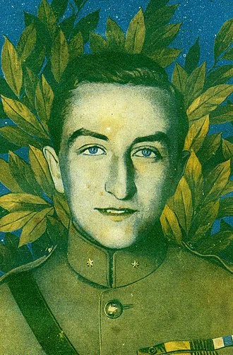 Willy Coppens height profile photo
