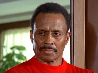 Woody Strode height profile photo