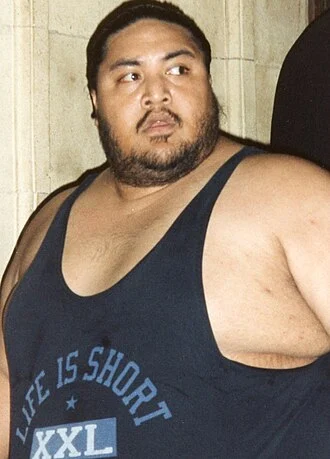 Yokozuna (wrestler) height profile photo
