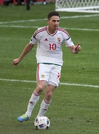 Zoltán Gera height profile photo