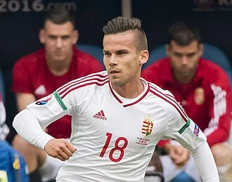 Zoltán Stieber height profile photo