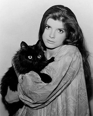 Katharine Ross Height